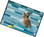 chronomètre natation